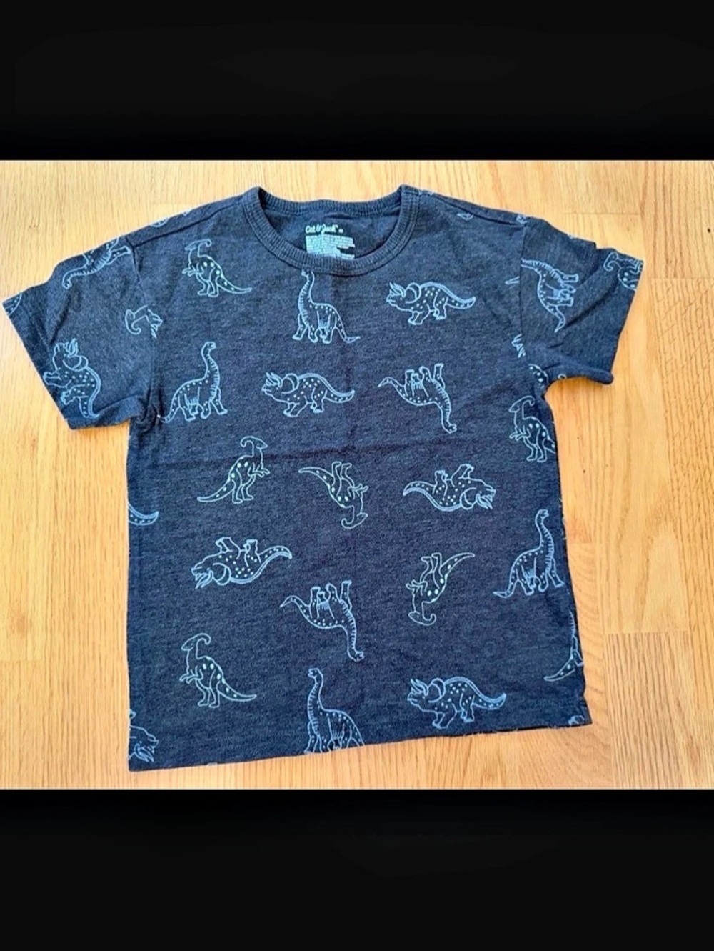 Cat & Jack Dinosaur Graphic Print Short Sleeve T-Shirt Gray & Blue 4T